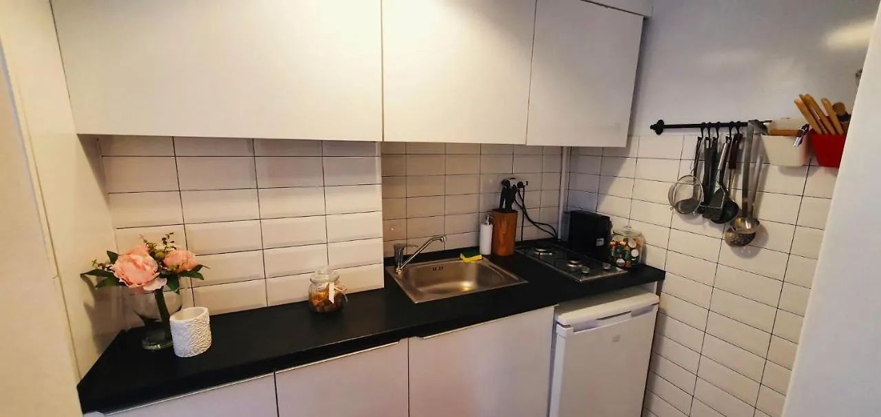 Apartment Downtown Studio Bucharest